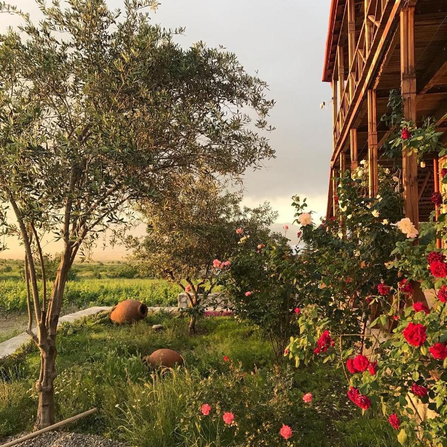 Elizbar Talakvadze Winery Villa Kardanakhi ภายนอก รูปภาพ