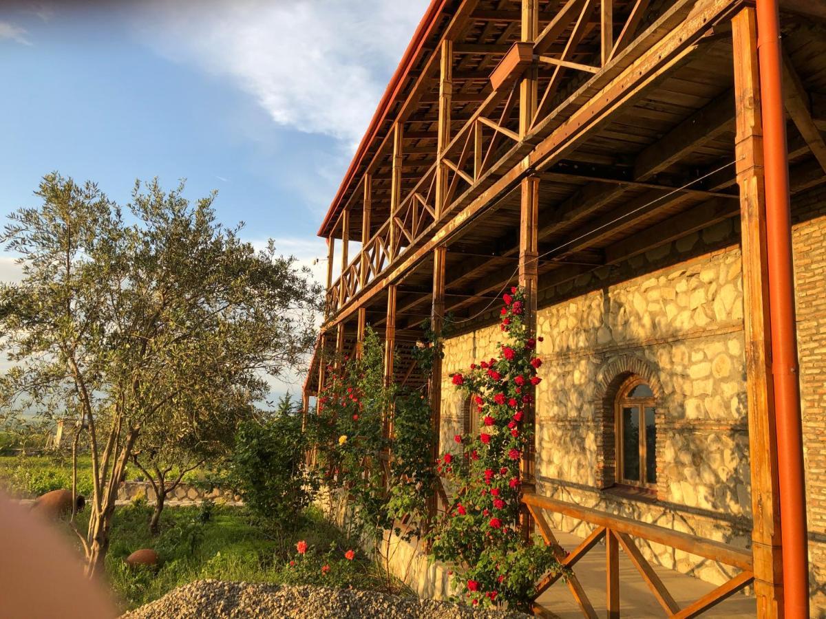 Elizbar Talakvadze Winery Villa Kardanakhi ภายนอก รูปภาพ