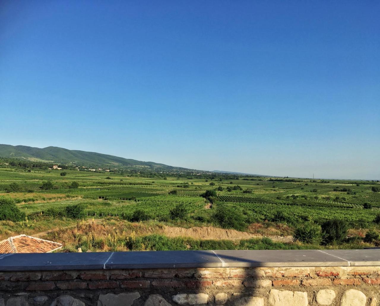 Elizbar Talakvadze Winery Villa Kardanakhi ภายนอก รูปภาพ